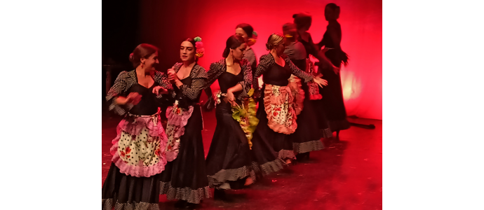 "Espectáculo con Vestido Flamenco Triana"